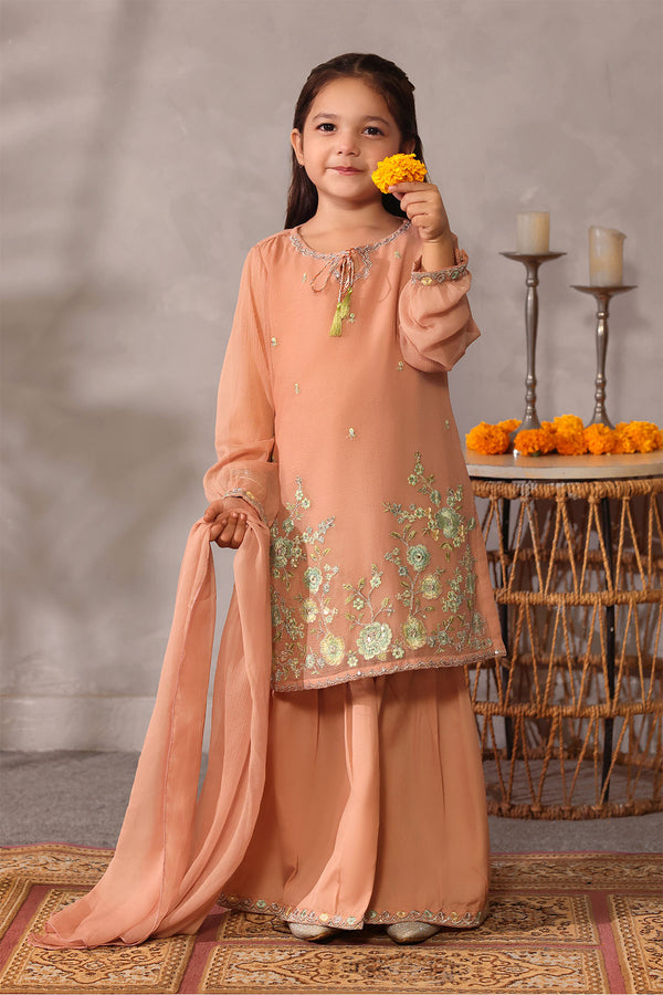 Chiffon Embroidered 3 Pc Suit