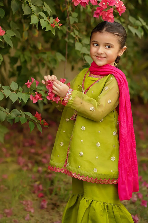 Best Organza Embroidered 3 Pc Suit - Wear Ochre -