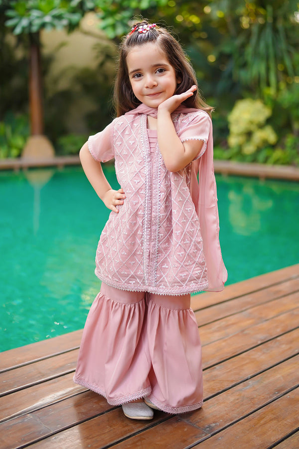 Net Embroidered 3 Pc Suit