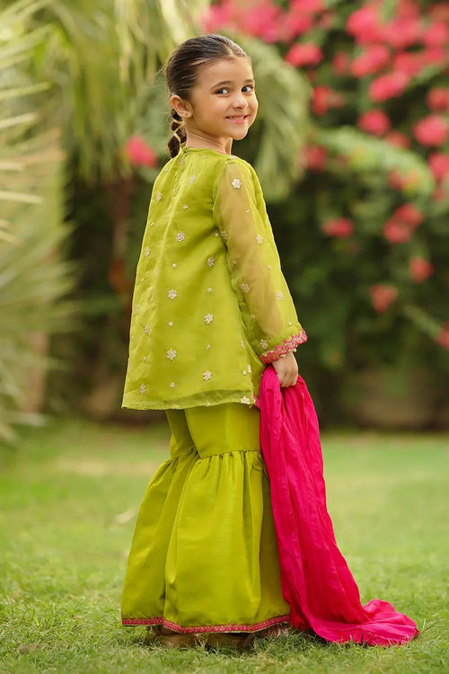 Best Organza Embroidered 3 Pc Suit - Wear Ochre -