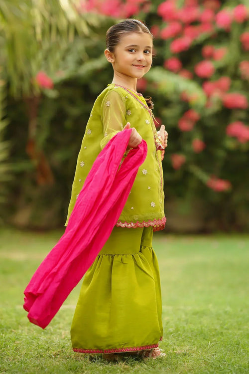 Best Organza Embroidered 3 Pc Suit - Wear Ochre -