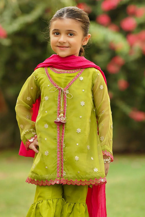 Best Organza Embroidered 3 Pc Suit - Wear Ochre -