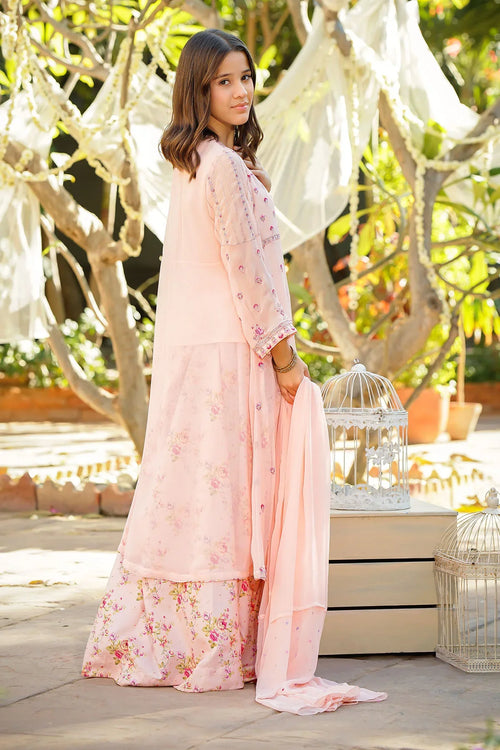 Best Chiffon Embroidered 3 Pc Suit - Wear Ochre -