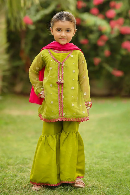 Best Organza Embroidered 3 Pc Suit - Wear Ochre -