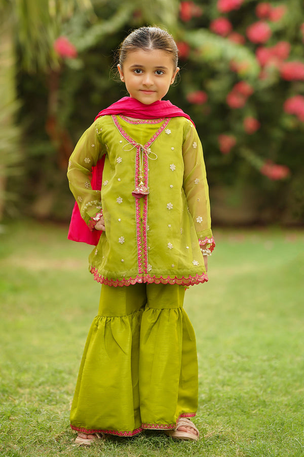 Organza Embroidered 3 Pc Suit - Wear Ochre