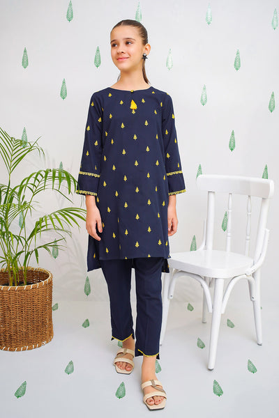 Cotton Embroidered 2 Pc Suit