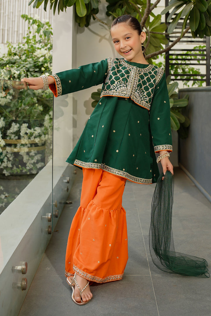Raw Silk Embroidered 3 Pc Suit - Wear Ochre