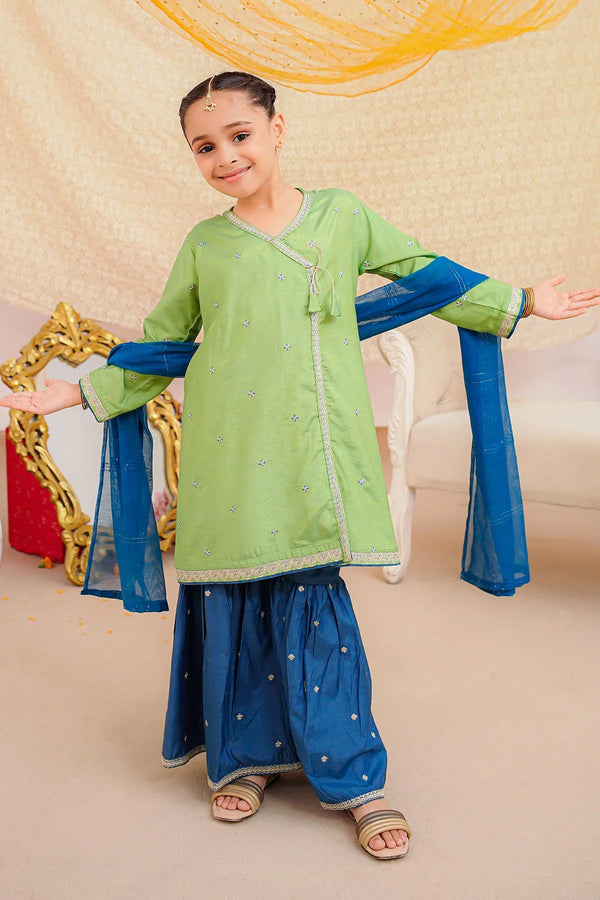 Best Cotton Silk Embroidered 3 Pc Suit - Wear Ochre -