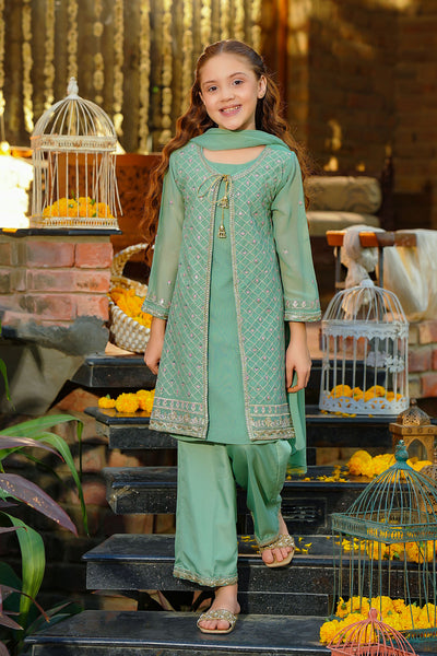 Chiffon Embroidered 3 Pc Suit