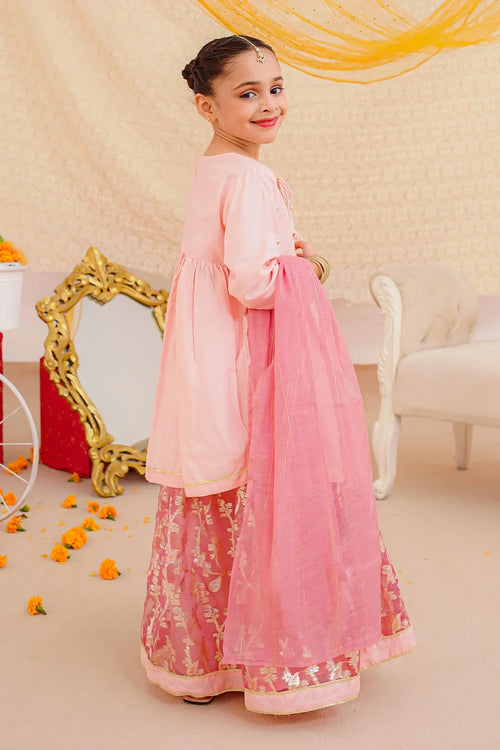 Best Cotton Silk Hand Adda Work 3 Pc Suit - Wear Ochre -