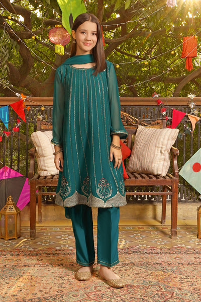 Chiffon Embroidered 3 Pc Suit