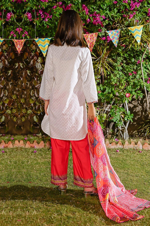 Best Chikankari Embroidered 3 Pc Suit - Wear Ochre -