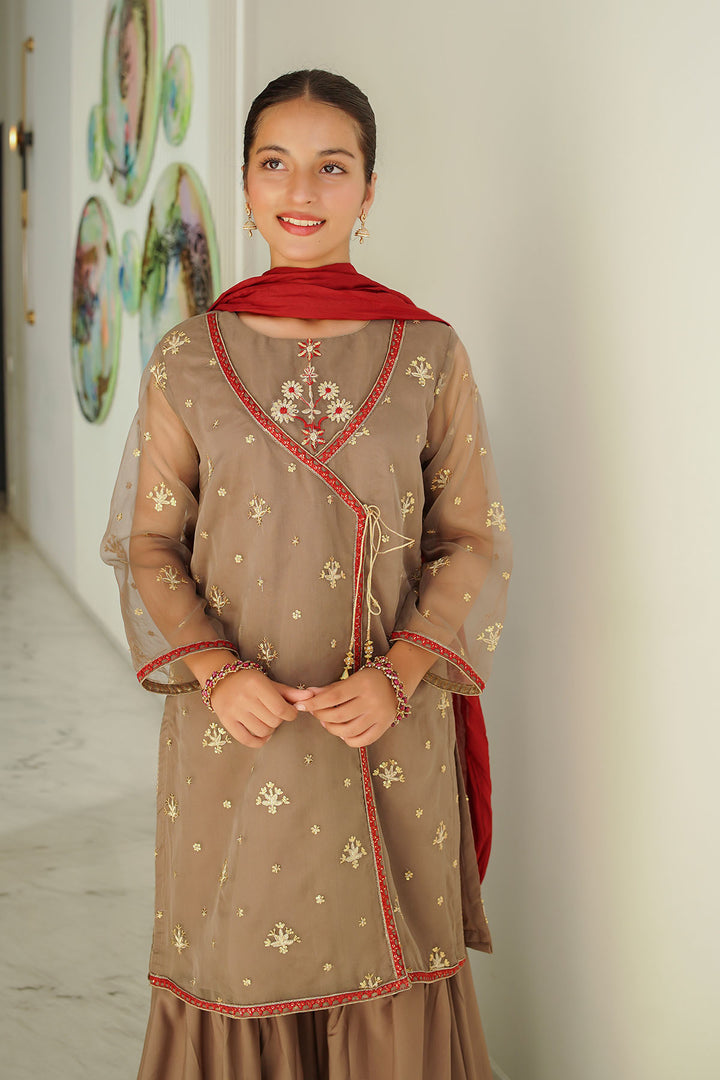 Organza Embroidered 3 Pc Suit - Wear Ochre