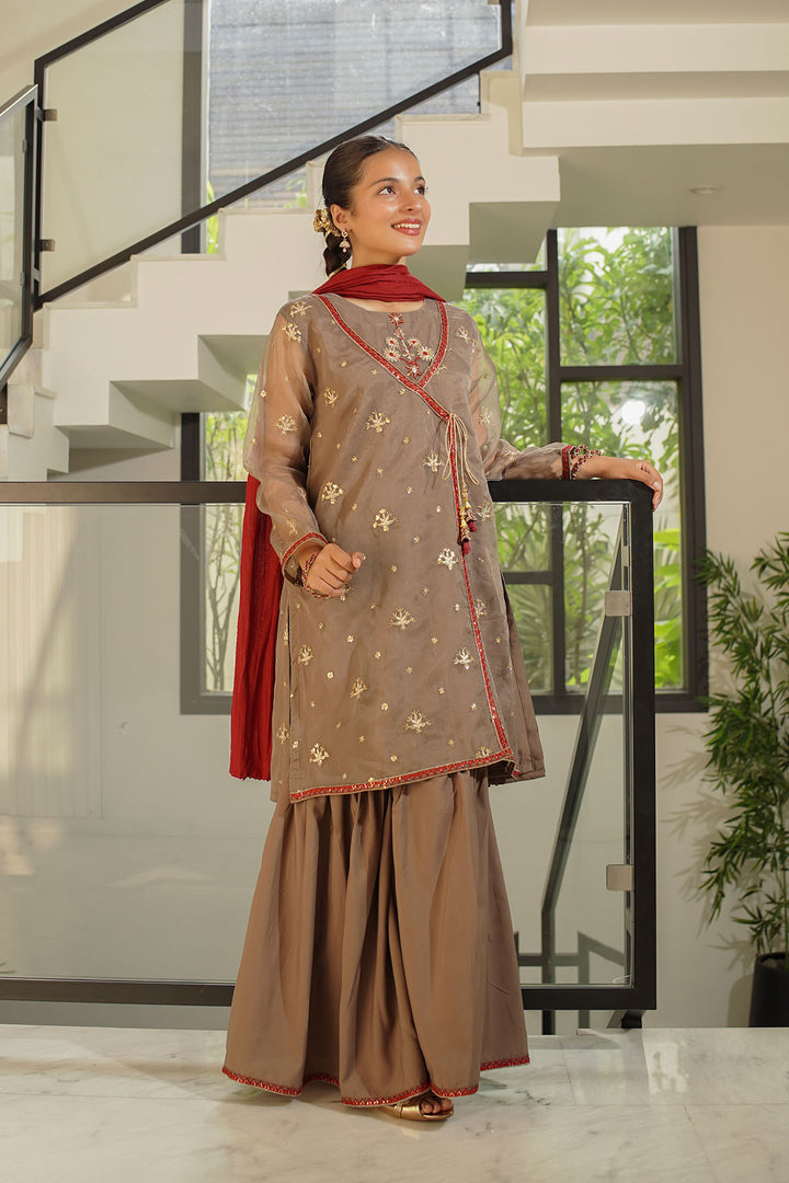 Organza Embroidered 3 Pc Suit - Wear Ochre