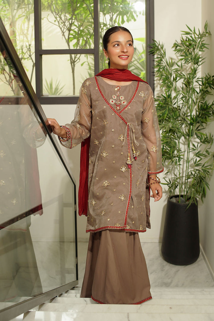 Organza Embroidered 3 Pc Suit - Wear Ochre