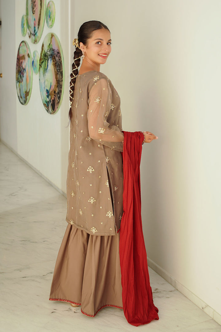 Organza Embroidered 3 Pc Suit - Wear Ochre