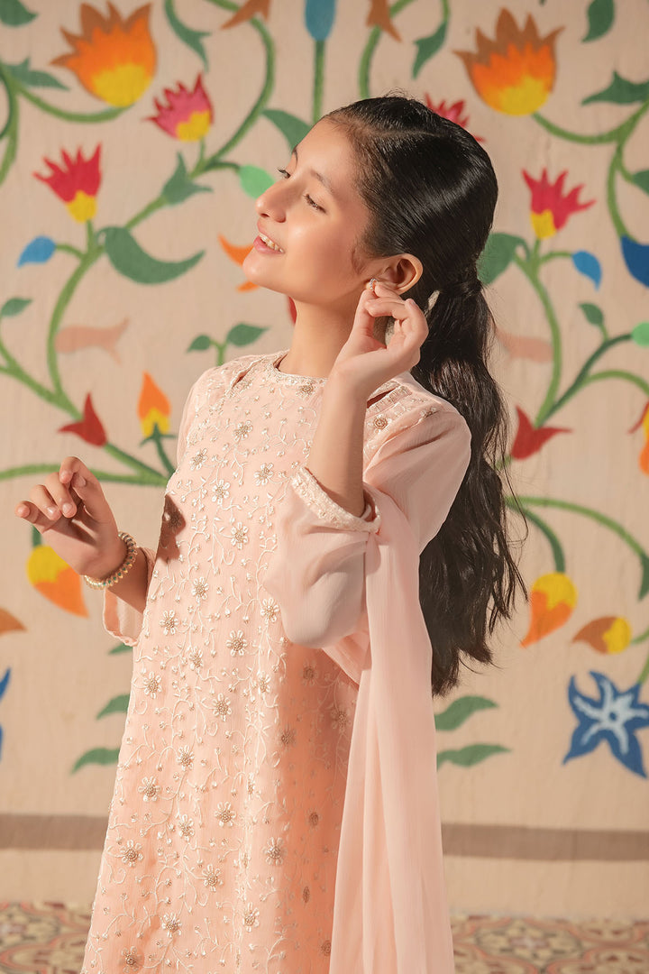 Chiffon Embroidered 3 Pc Suit - Wear Ochre