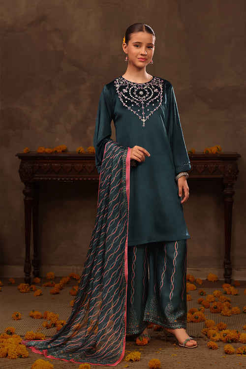Velvet Hand Adda Work 3 Pc Suit