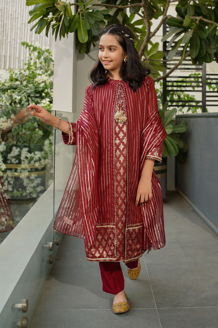 Zari Jacquard Hand Adda Work 3 Pc Suit - Wear Ochre