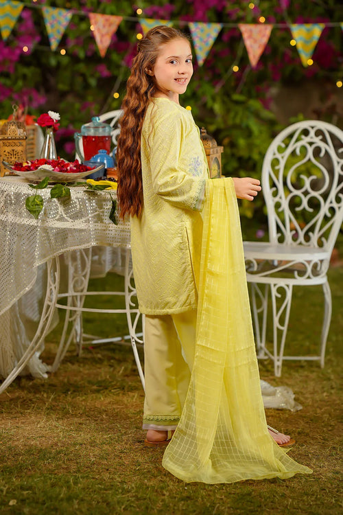 Best Chikankari Embroidered 3 Pc Suit - Wear Ochre -