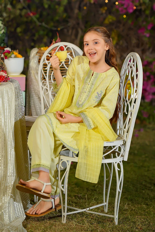 Best Chikankari Embroidered 3 Pc Suit - Wear Ochre -