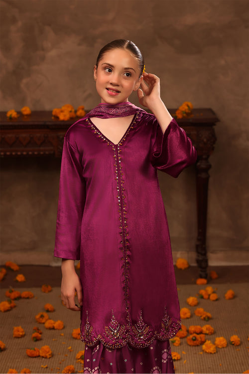 Velvet Hand Adda Work 3 Pc Suit
