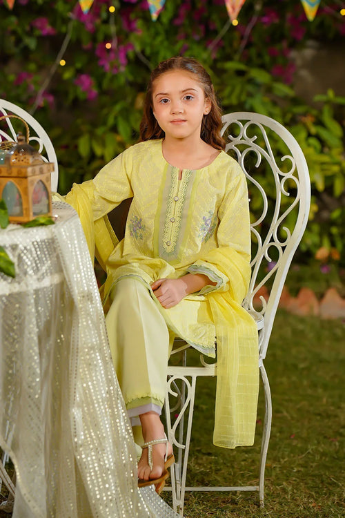 Best Chikankari Embroidered 3 Pc Suit - Wear Ochre -