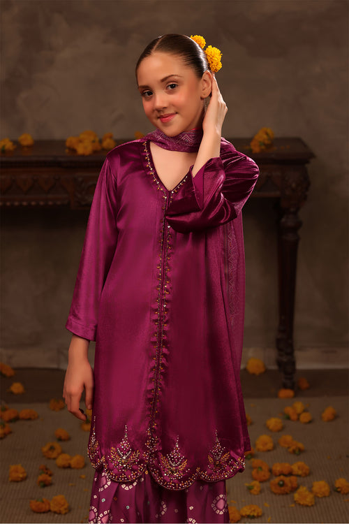 Velvet Hand Adda Work 3 Pc Suit