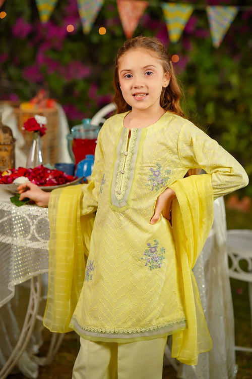 Best Chikankari Embroidered 3 Pc Suit - Wear Ochre -