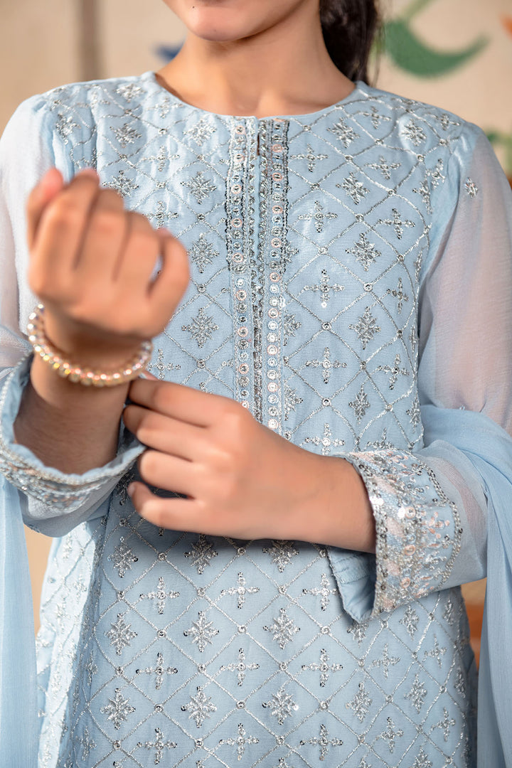 Chiffon Embroidered 3 Pc Suit - Wear Ochre