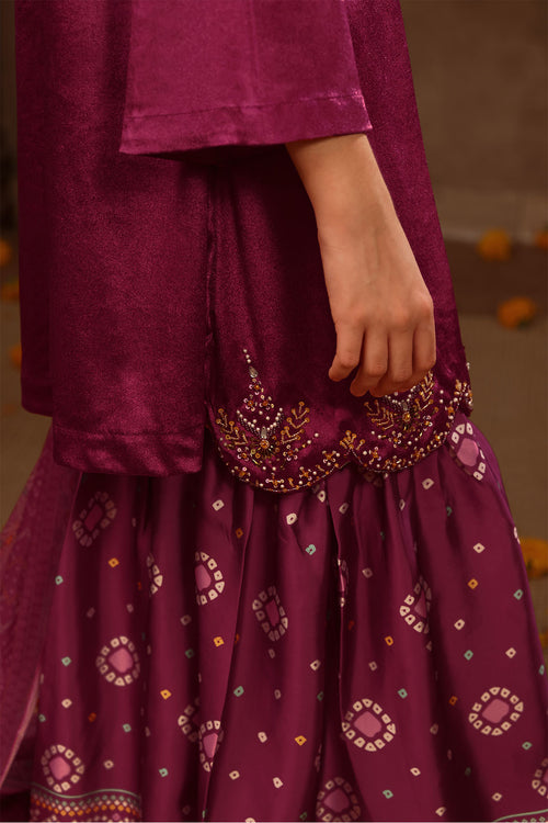 Velvet Hand Adda Work 3 Pc Suit