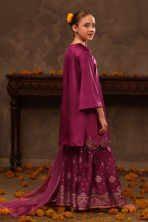 Velvet Hand Adda Work 3 Pc Suit