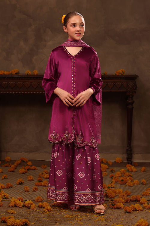 Velvet Hand Adda Work 3 Pc Suit