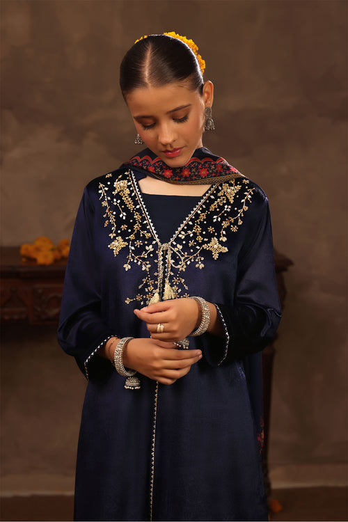 Velvet Hand Adda Work 3 Pc Suit