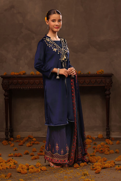Velvet Hand Adda Work 3 Pc Suit