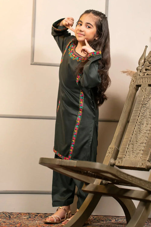 Best Cotton Embroidered 2 Pc Suit - Wear Ochre -
