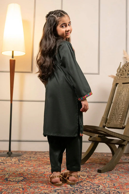 Best Cotton Embroidered 2 Pc Suit - Wear Ochre -