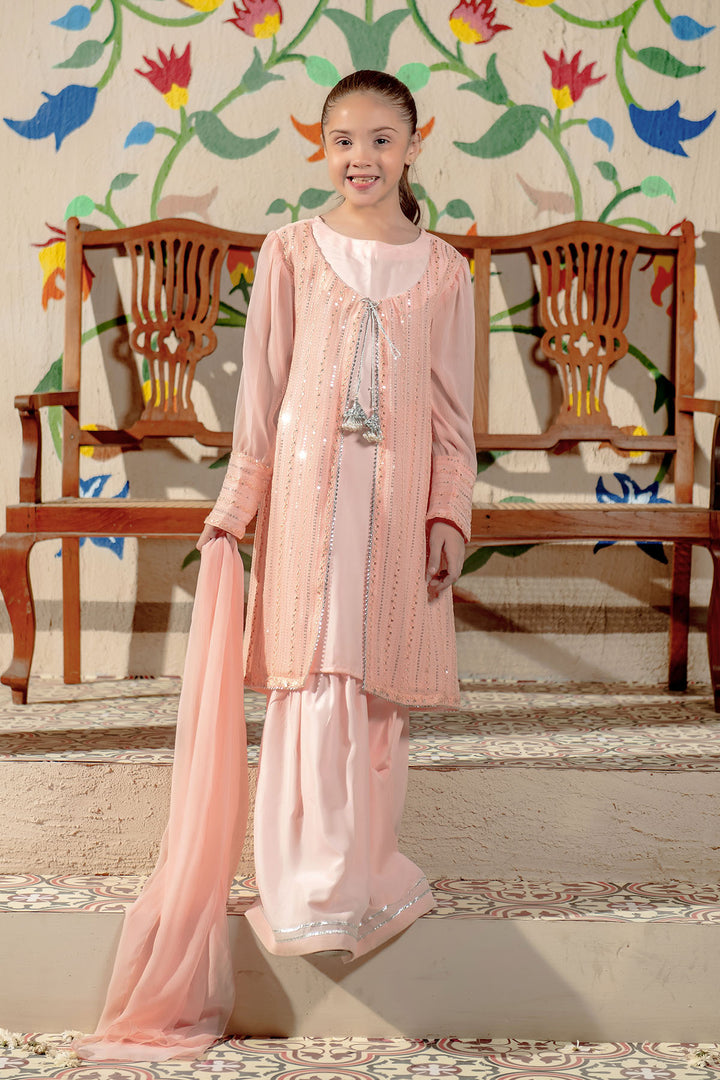 Chiffon Embroidered 3 Pc Suit - Wear Ochre