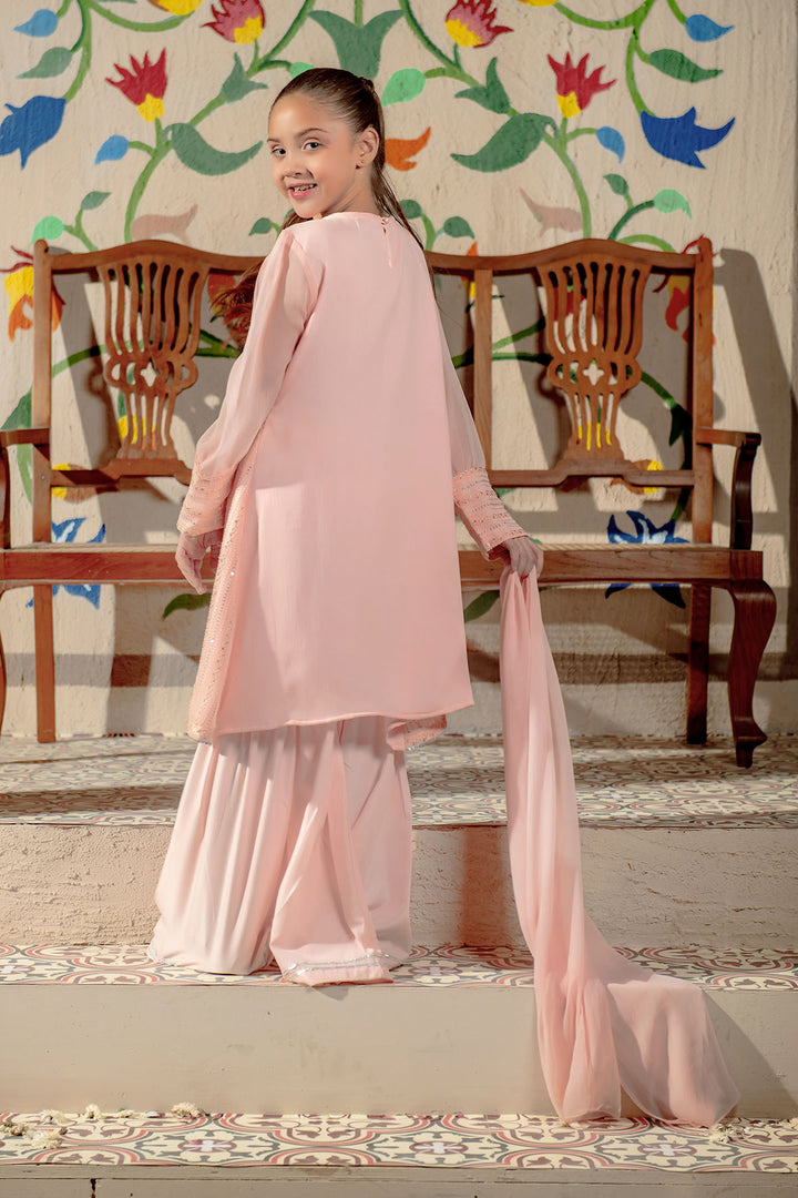 Chiffon Embroidered 3 Pc Suit - Wear Ochre