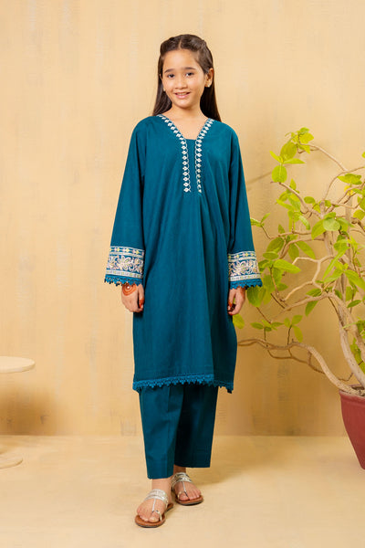 Cotton Embroidered 2 Pc Suit