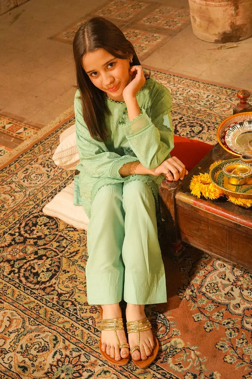 Best Chikankari Embroidered 3 Pc Suit - Wear Ochre -