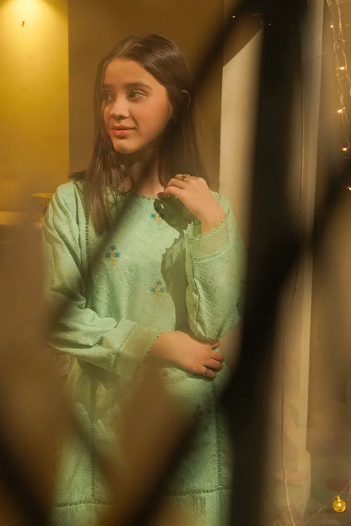 Best Chikankari Embroidered 3 Pc Suit - Wear Ochre -