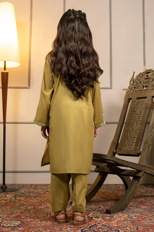 Best Cotton Embroidered 2 Pc Suit - Wear Ochre -