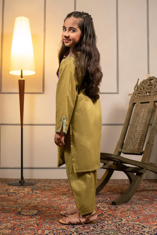Best Cotton Embroidered 2 Pc Suit - Wear Ochre -