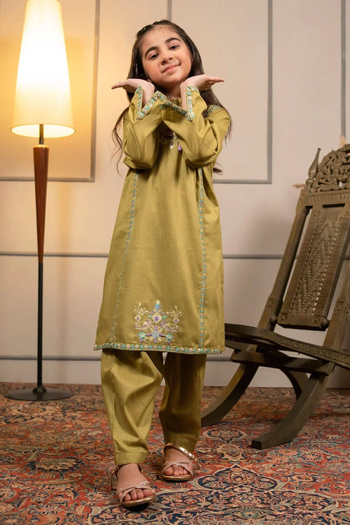 Best Cotton Embroidered 2 Pc Suit - Wear Ochre -
