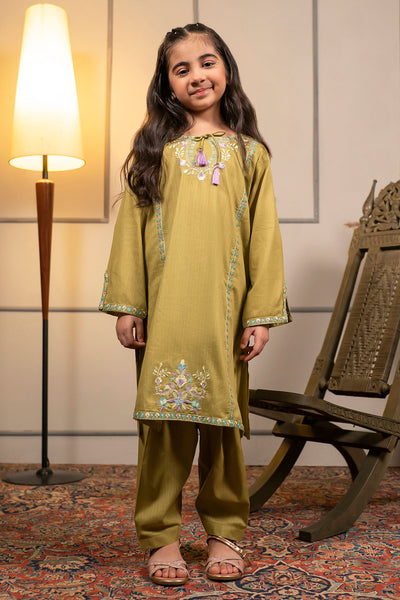 Cotton Embroidered 2 Pc Suit