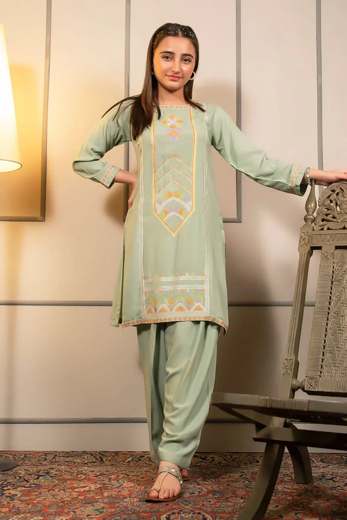 Best Cotton Embroidered 2 Pc Suit - Wear Ochre -