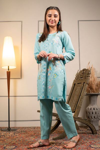 Cotton Embroidered 2 Pc Suit