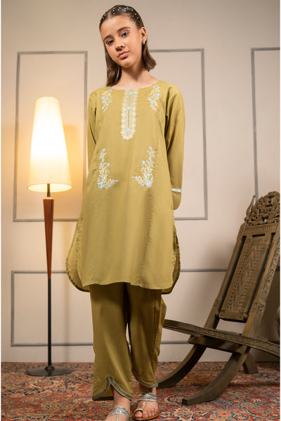 Cotton Embroidered 2 Pc Suit
