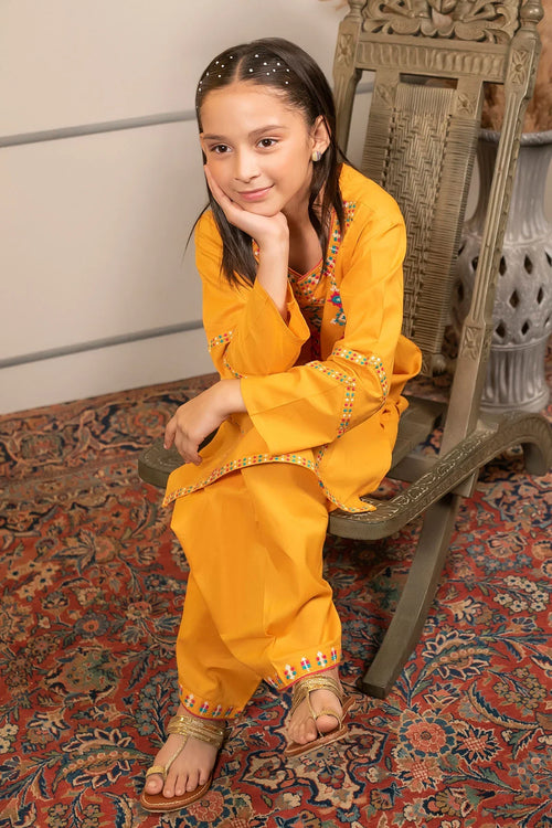 Best Cotton Embroidered 2 Pc Suit - Wear Ochre -